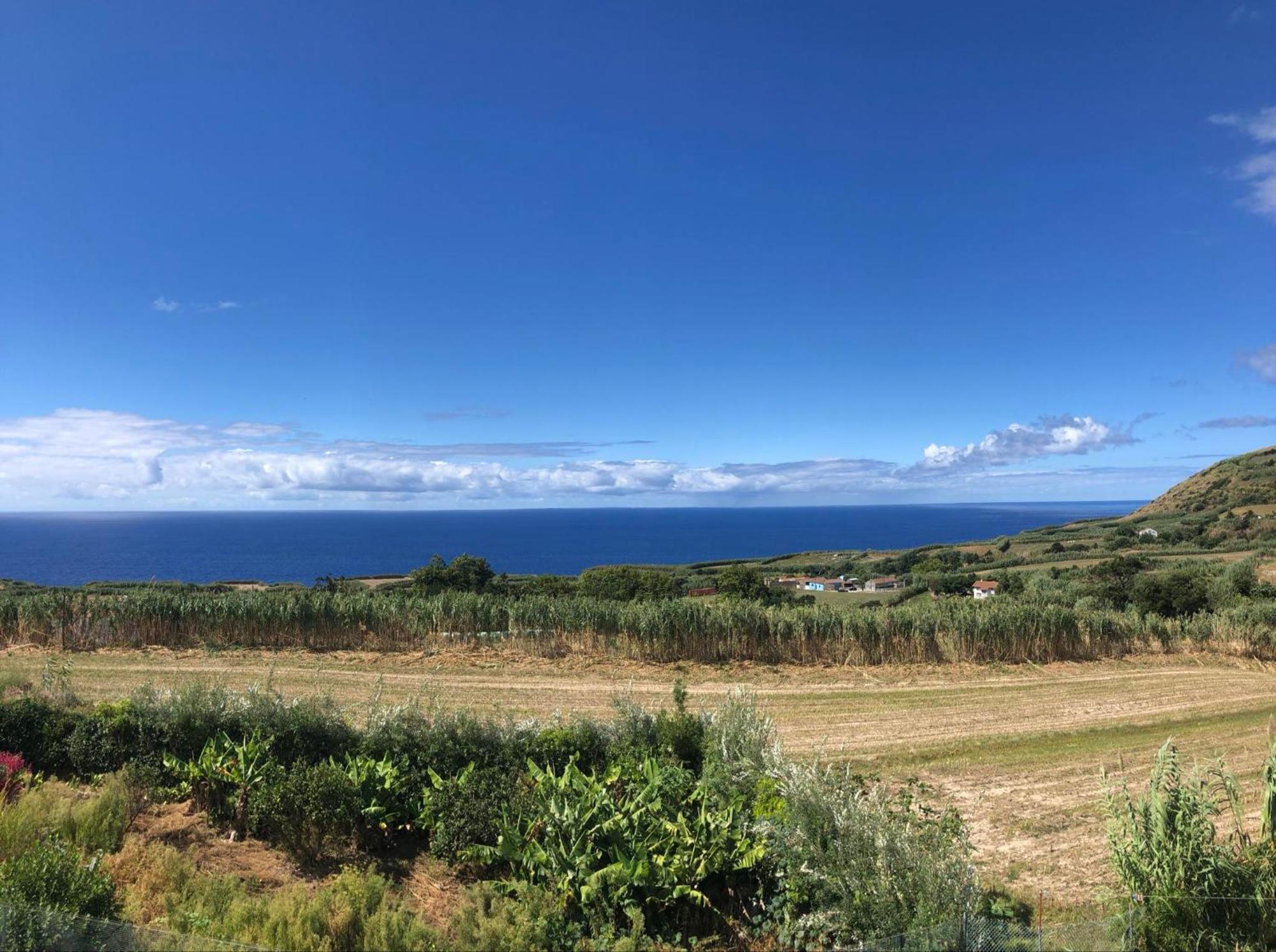 Vivenda Flor Βίλα Πόντα Ντελγκάντα Εξωτερικό φωτογραφία